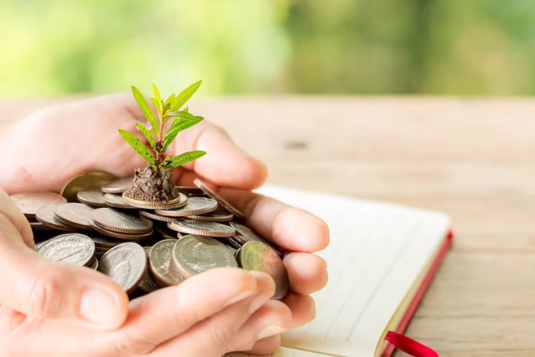 What’s the Latest Update on Student Loan Policies?
